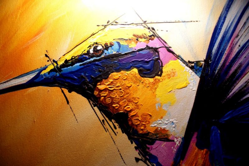 zbliżenie obrazu z kolibrem, obrazy ptaki