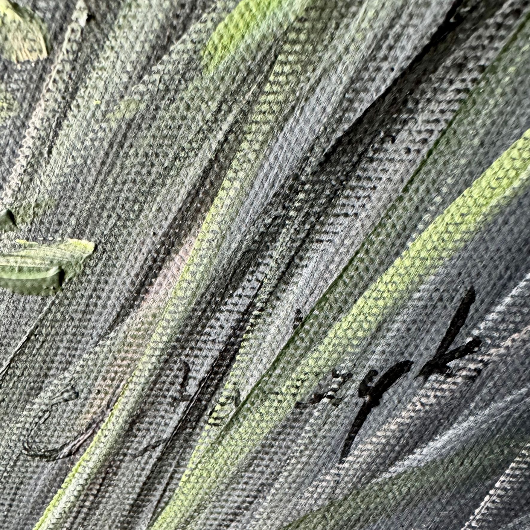 Obraz z kwiatami malowany na płótnie "Burzowa aura" 2249A - obrazek 6