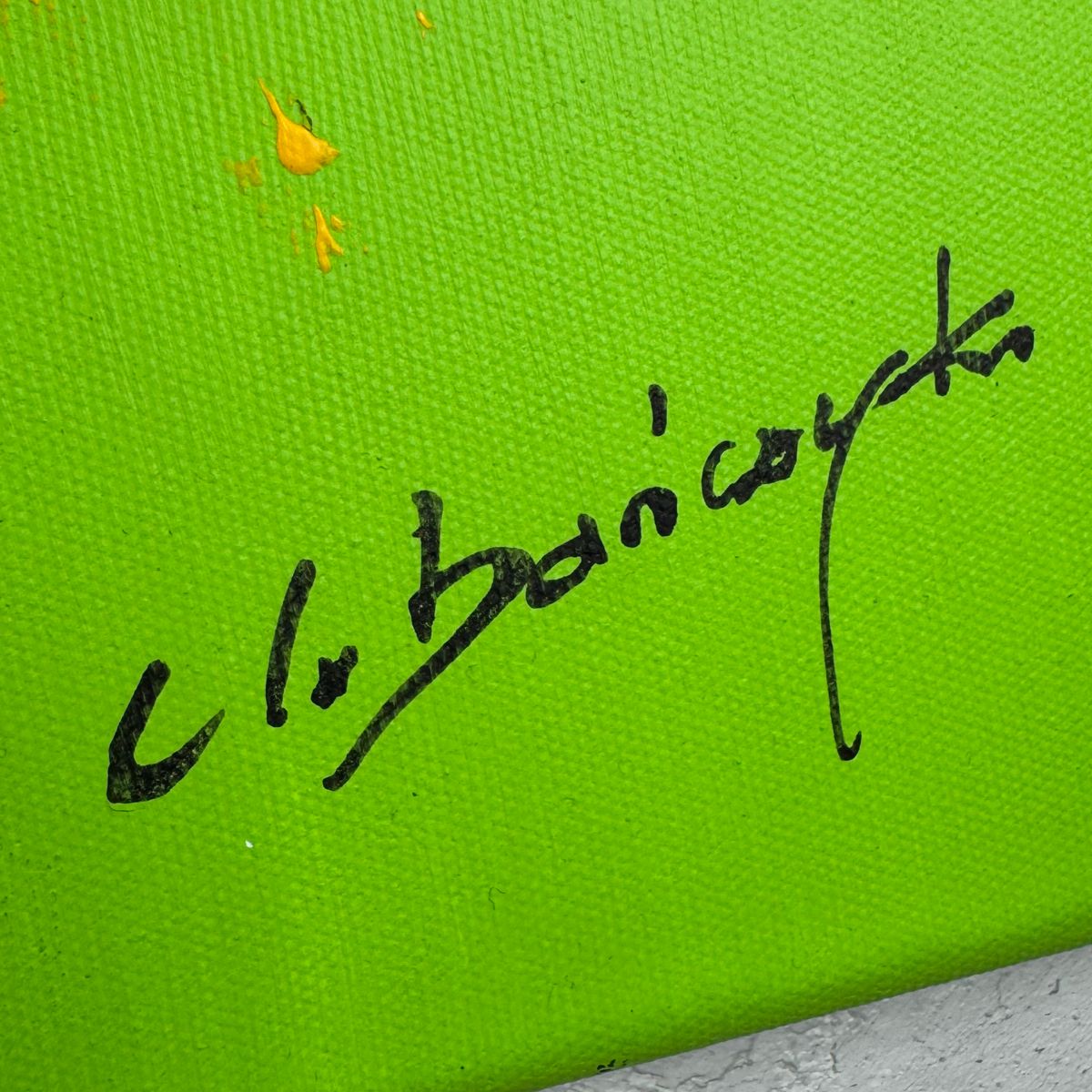 Pies na obrazie "Wierny kolorowy owczarek" 2342A - obrazek 6